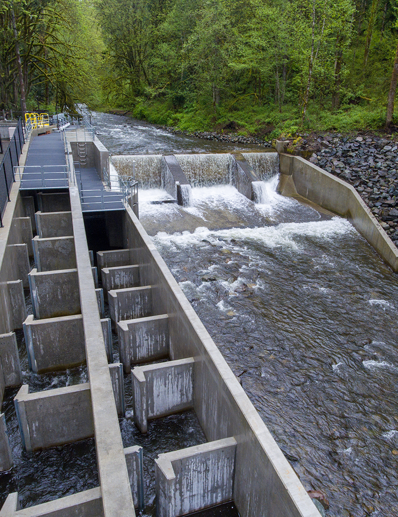 WDFW Tokul Creek Fish Passage and  Weir Restoration