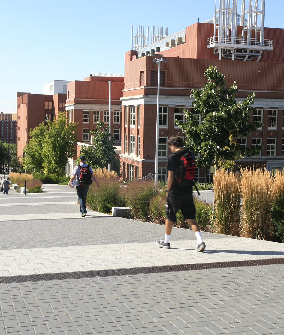 WSU Library Road Renewal