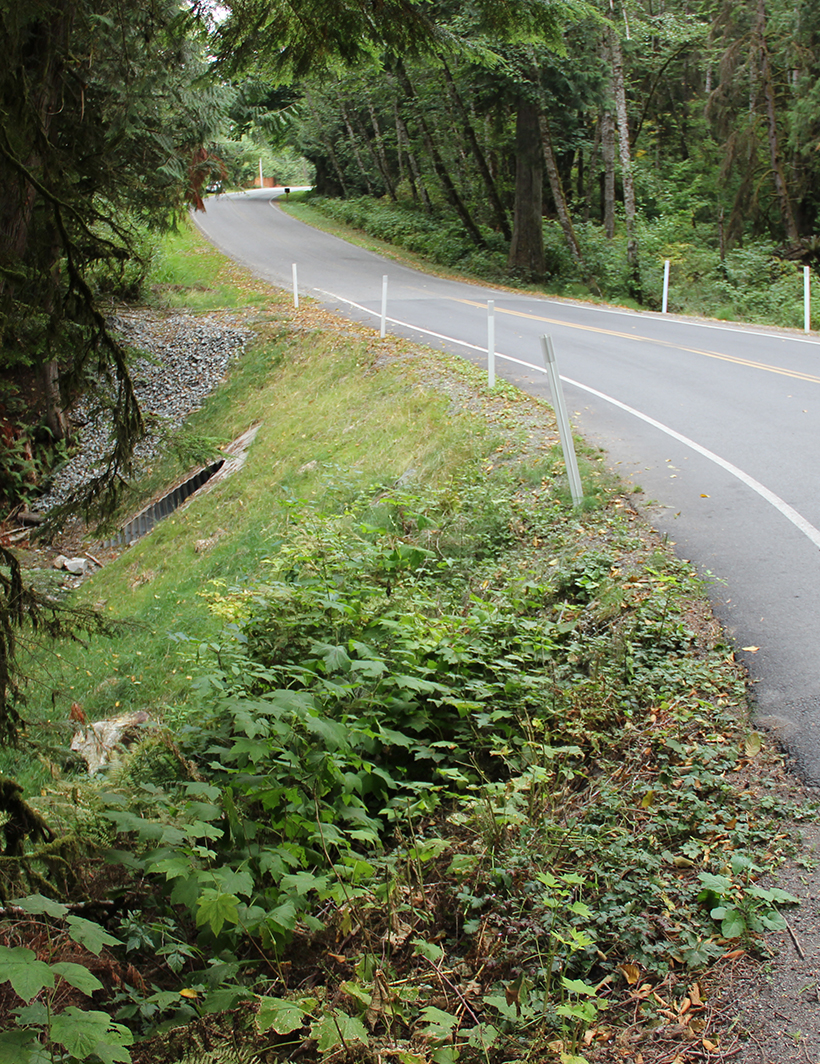 Colony Mountain Drive Culvert Replacement Project