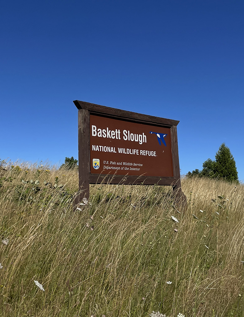 Baskett Slough National Wildlife Refuge, Dusky Marsh Fish Passage