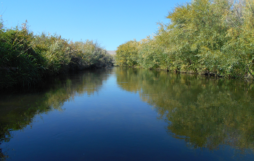 USFWS Toppenish National Wildlife Refuge, Intake Structure Improvement Project