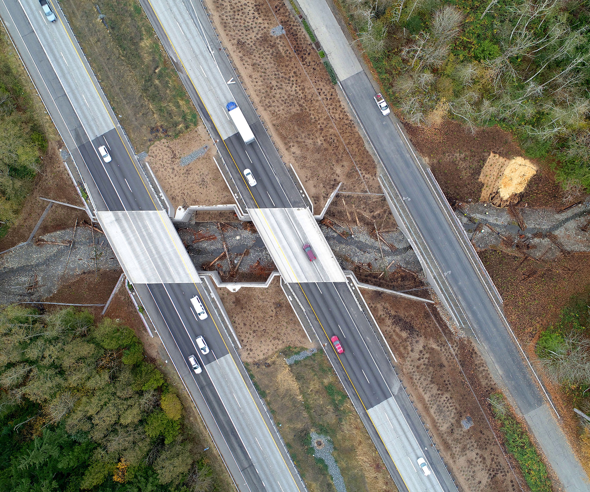 Padden Creek: A Case Study in Collaboration & Innovation for Fish-Friendly Infrastructure